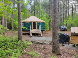 BrownfieldRufus III Yurt on the river的树林里的绿色帐篷,停放吉普车