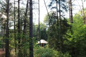 BrownfieldAllie Mae Yurt nestled in the woods的森林中间的小小屋