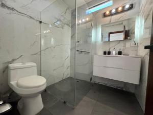 普拉亚卡门Comfort Apartment Gaia - 5 Av.的浴室配有卫生间、淋浴和盥洗盆。