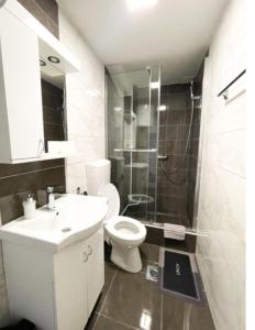 帕莱Apartman Tijana的浴室配有卫生间、盥洗盆和淋浴。