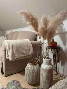 科斯塔涅维察House-tanjevica的客厅配有沙发和带羽毛的花瓶