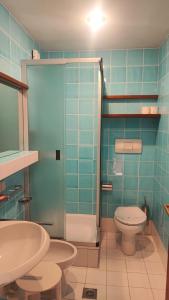 卡尔博宁Appartamento Dolomiti 138 Villaggio Turistico的带淋浴、卫生间和盥洗盆的浴室