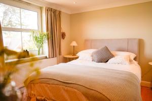 本布里奇Solent Landing的一间卧室设有一张大床和一个窗户。