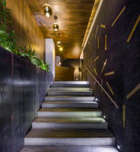 墨西哥城MX格兰德套房公寓式酒店的走廊上设有植物,墙上设有楼梯