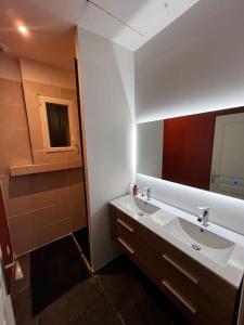 布尔日Maison chaleureuse avec jardin的一间带水槽和镜子的浴室