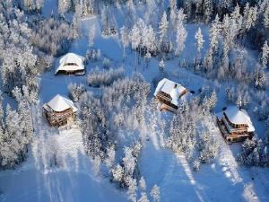 AmatciemsSVILPJI Lakeside Retreat House in a Forest with all commodities的享有雪覆盖森林的空中美景,设有房屋