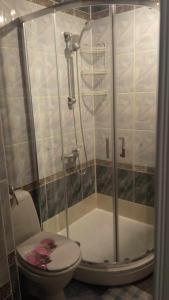 凯代尼艾Town House的带淋浴、卫生间和淋浴的浴室