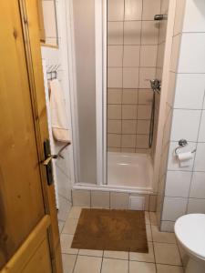 利普托斯基米库拉斯Chata Pod Jedľou的带淋浴、卫生间和盥洗盆的浴室