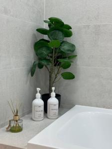 文尼察Квартира на Подолье的浴室提供两瓶肥皂和植物