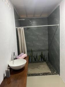 希门尼斯港Corcovado House With AC的一间带水槽和淋浴的浴室