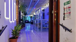 克萨尔特南戈Hotel Kamelot Parque Central的一间商店的走廊,里面种有植物