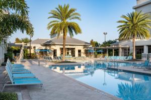 奥兰多SpringHill Suites by Marriott Orlando at FLAMINGO CROSSINGS Town Center-Western Entrance的一个带蓝色椅子的游泳池,棕榈树