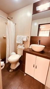 阿雷基帕阿雷基帕酒店 的一间带卫生间和水槽的浴室