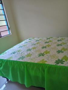 帕苏斯Casa Azul的一张床上有绿毯的床