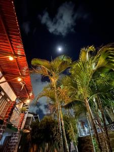 纳塔尔Pousada Jardim Magico的一群棕榈树在晚上与月亮相映