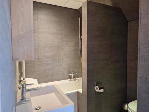羊角村Hoeve Montigny B&B的浴室配有白色水槽和卫生间。