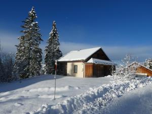 沙佩尔代布瓦Chalet Beaujon Chapelle-des-Bois的被雪覆盖的小屋,有树