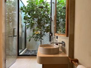 芭东海滩Eden Resort & Villas的一间带水槽和盆栽植物的浴室