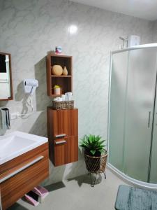 Seaview Residence Garden的带淋浴、盥洗盆和镜子的浴室