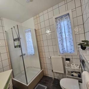布伦迪欧斯克宜岩宾馆的带淋浴、卫生间和盥洗盆的浴室