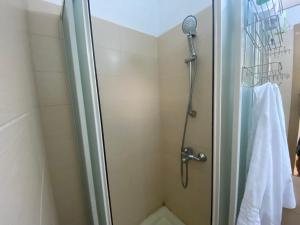 蒂米什瓦拉Twin Cloud Pădurea Verde的浴室里设有玻璃门淋浴