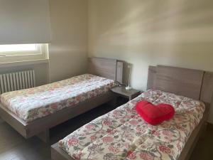 皮索涅Appartamento Goen的一间卧室配有两张带红色心枕的床