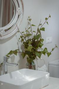 阿利坎特La Buena Sombra的花瓶,花瓶上放着植物,坐在浴室水槽上
