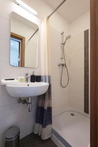 里加Mini dzīvoklis-atbilstoša cena的浴室配有盥洗盆和带镜子的淋浴