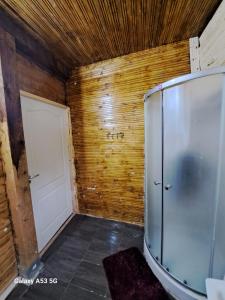 ArmenişCabana Larisa的木墙客房的步入式淋浴间