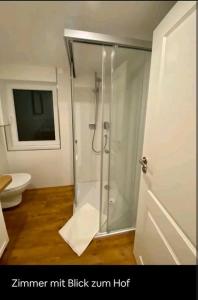 加格瑙Reiter's Apartments am Eichelberg的浴室里设有玻璃门淋浴