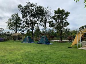 王南安科Baan Suan Madam บ้านสวนมาดามวังน้ำเขียว的两顶帐篷位于树木林立的田野