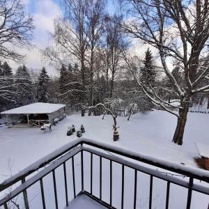 IlliVana-Vastseliina külalistemaja的雪地覆盖的院子,设有野餐桌和凉亭