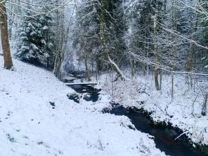 IlliVana-Vastseliina külalistemaja的一片积雪覆盖的森林,有河流和树木