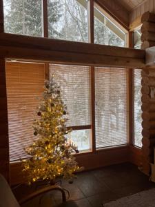 科林基拉Holiday Home Amero purnu 3的窗户房间里一棵圣诞树