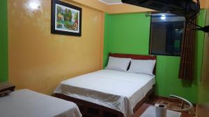 利马Hospedaje Escorpio的一间设有两张床和绿色墙壁的客房