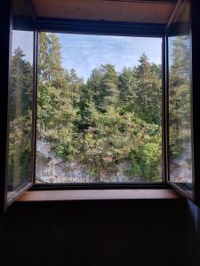 丰多Room&Breakfast Al Canyon的享有森林景致的窗户