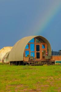 安博塞利Little Amanya Camp的绿草丛中的圆顶建筑
