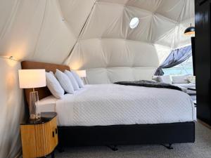 克伦威尔Glamping Dome - Pinot的帐篷内一间卧室,配有一张床