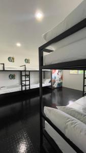 公主港LArtista Hostel的一间设有三张双层床的客房