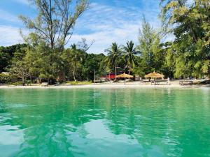 戈塔基耶夫岛The Last Point Koh Takiev的一片带海滩和树木的水域