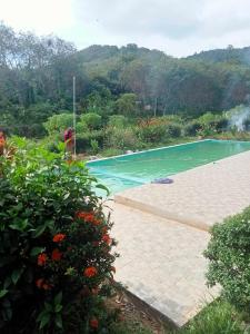 班柯木普萨大酒店的花卉花园中的游泳池