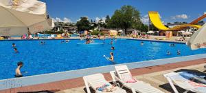 卡特兹奥布萨维Vila VALENTINA的一座大型游泳池,里面有很多人