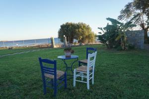 拉多斯尼古拉斯海滩一室公寓酒店的两把椅子和一张桌子在靠近海洋的草地上