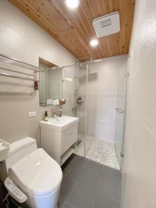 Dongyin/北澳秘山居 的带淋浴、卫生间和盥洗盆的浴室