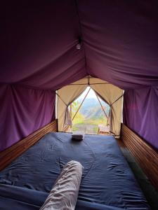金塔马尼Bali Sunrise Camp & Glamping的美景帐篷,配有一张床