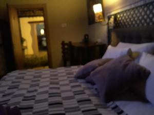 伯诺尼African Silhouette Guesthouse的一张床上坐着泰迪熊的床