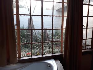 伯诺尼African Silhouette Guesthouse的配有浴缸的窗户,俯瞰着花园