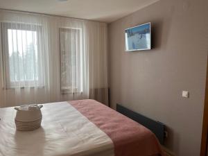 潘波洛沃Grand resort luxury apartment的卧室配有一张床,墙上配有电视