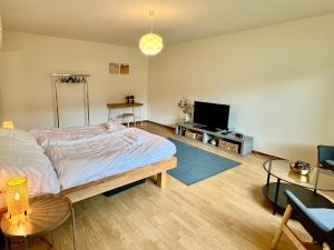 巴塞尔Gemütliche Wohnung Nähe Uni的一间卧室配有一张床和一台平面电视