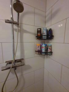 梅德巴赫Nivis的带淋浴的浴室,墙上设有两个架子